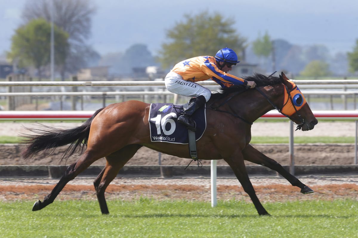 Rollercoaster day for Te Akau Racing￼