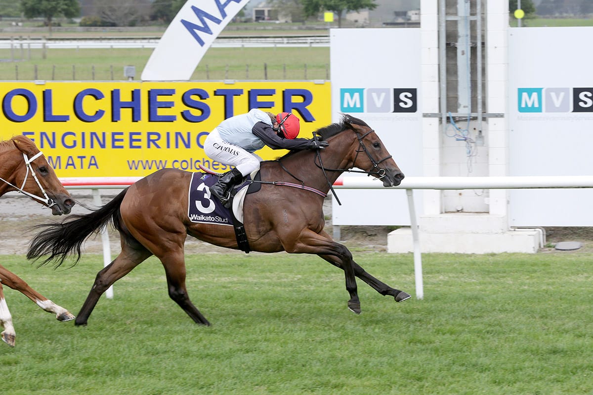Sassy Merlot dominant in campaign opener