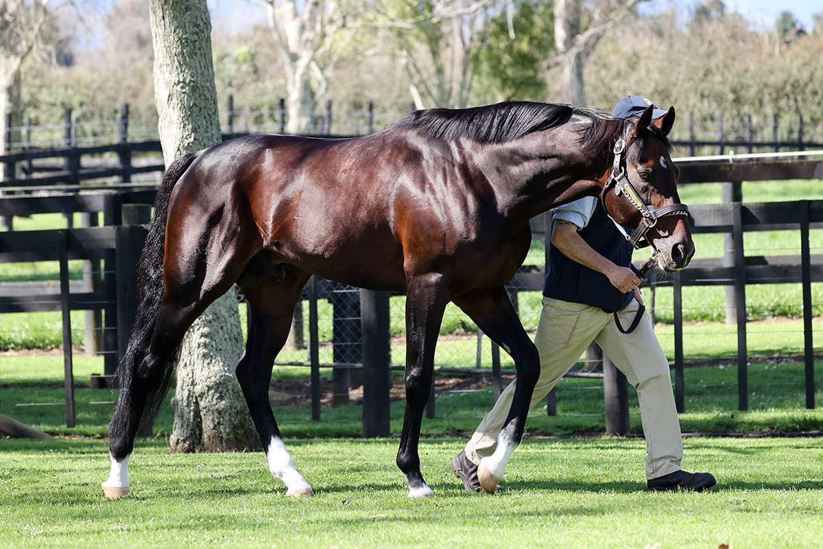 Boutique breeders making a grand impact