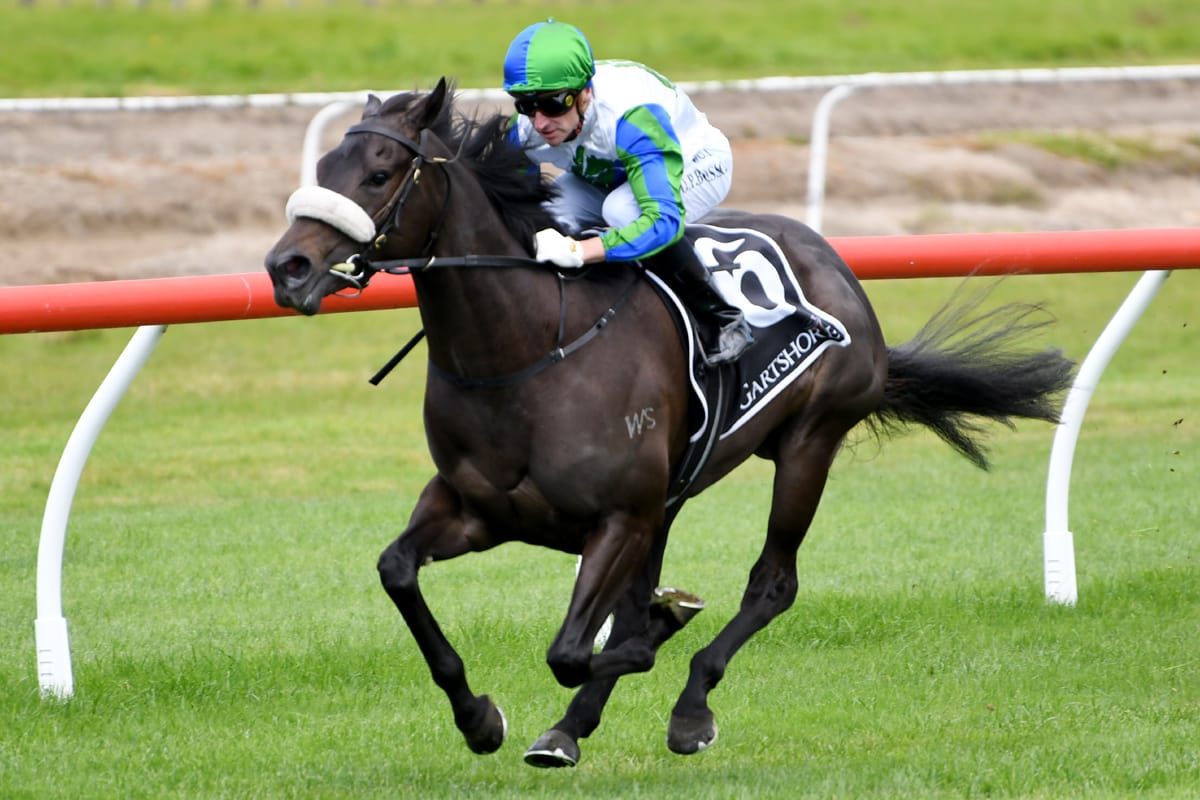 Skew Wiff breaks maiden ranks at Tauranga
