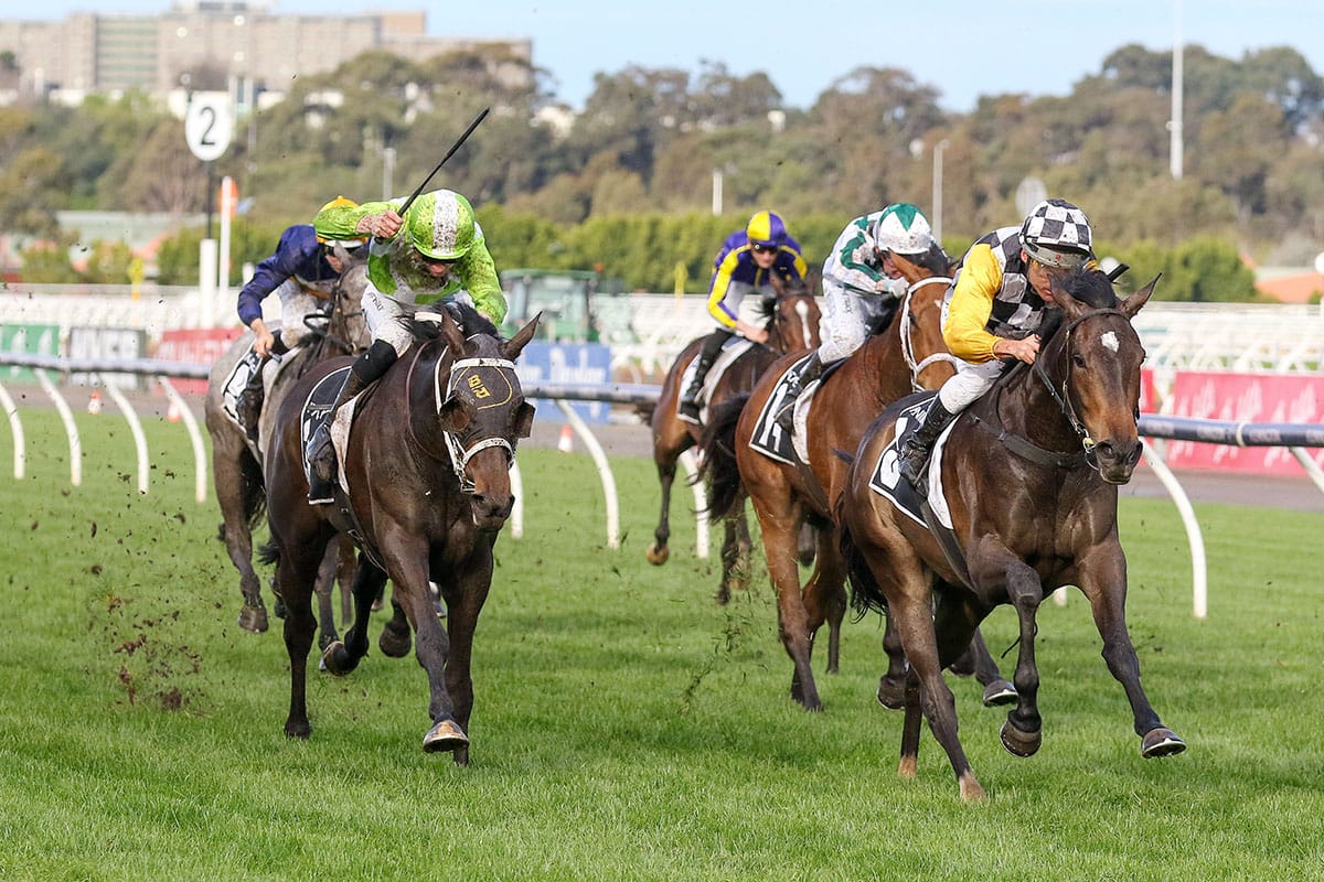 So Dazzling on song for Melbourne campaign