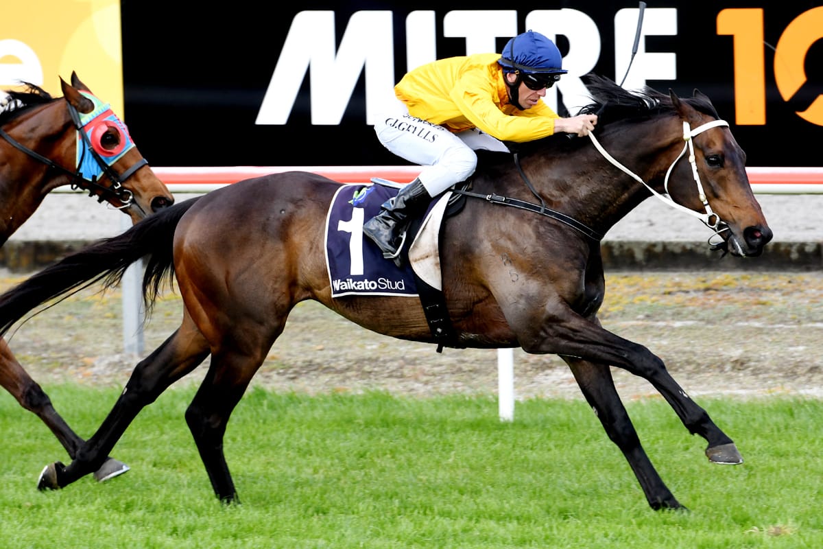 Vername after Group One scalp