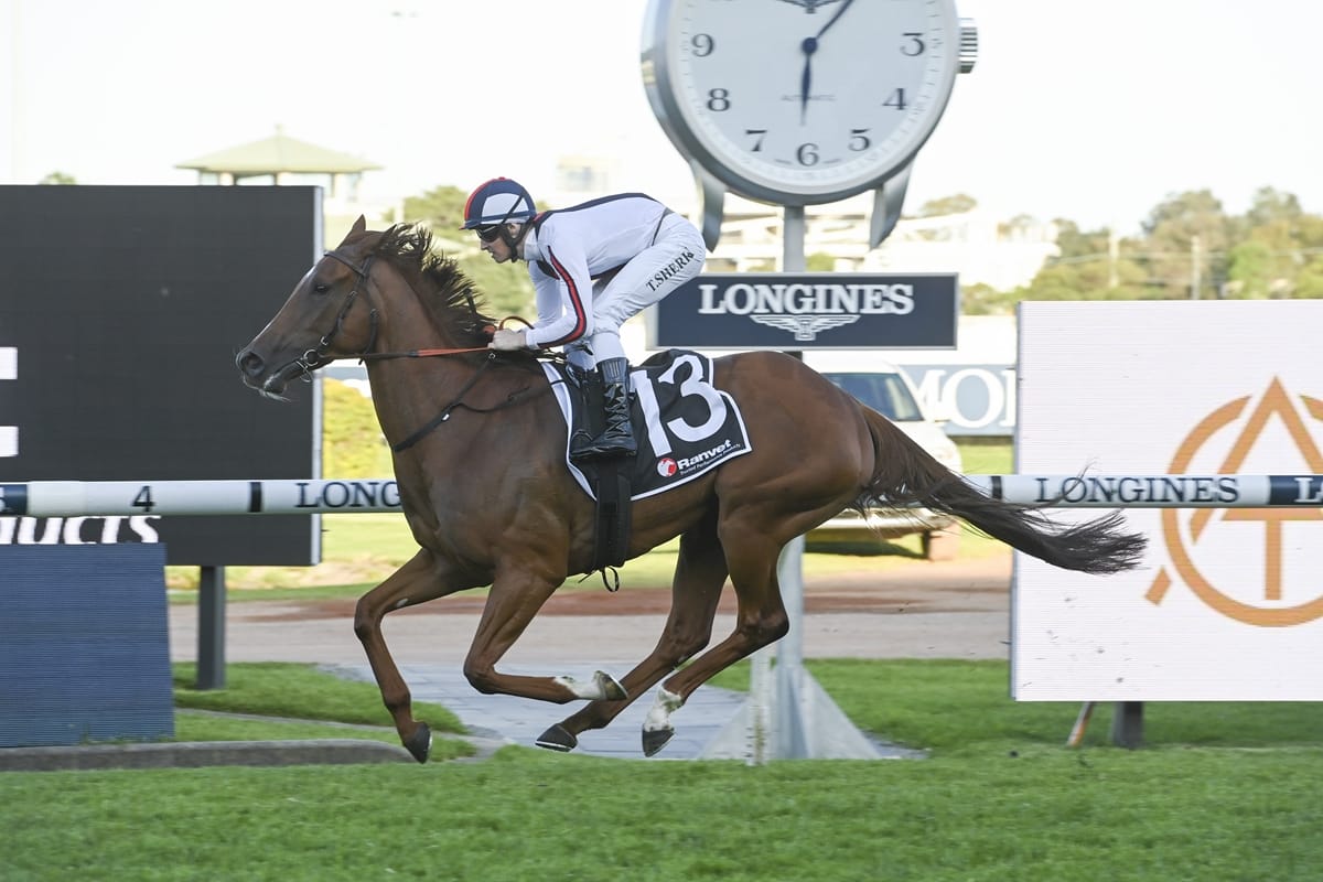 <strong>Iffraaj mare makes short work of city win</strong>