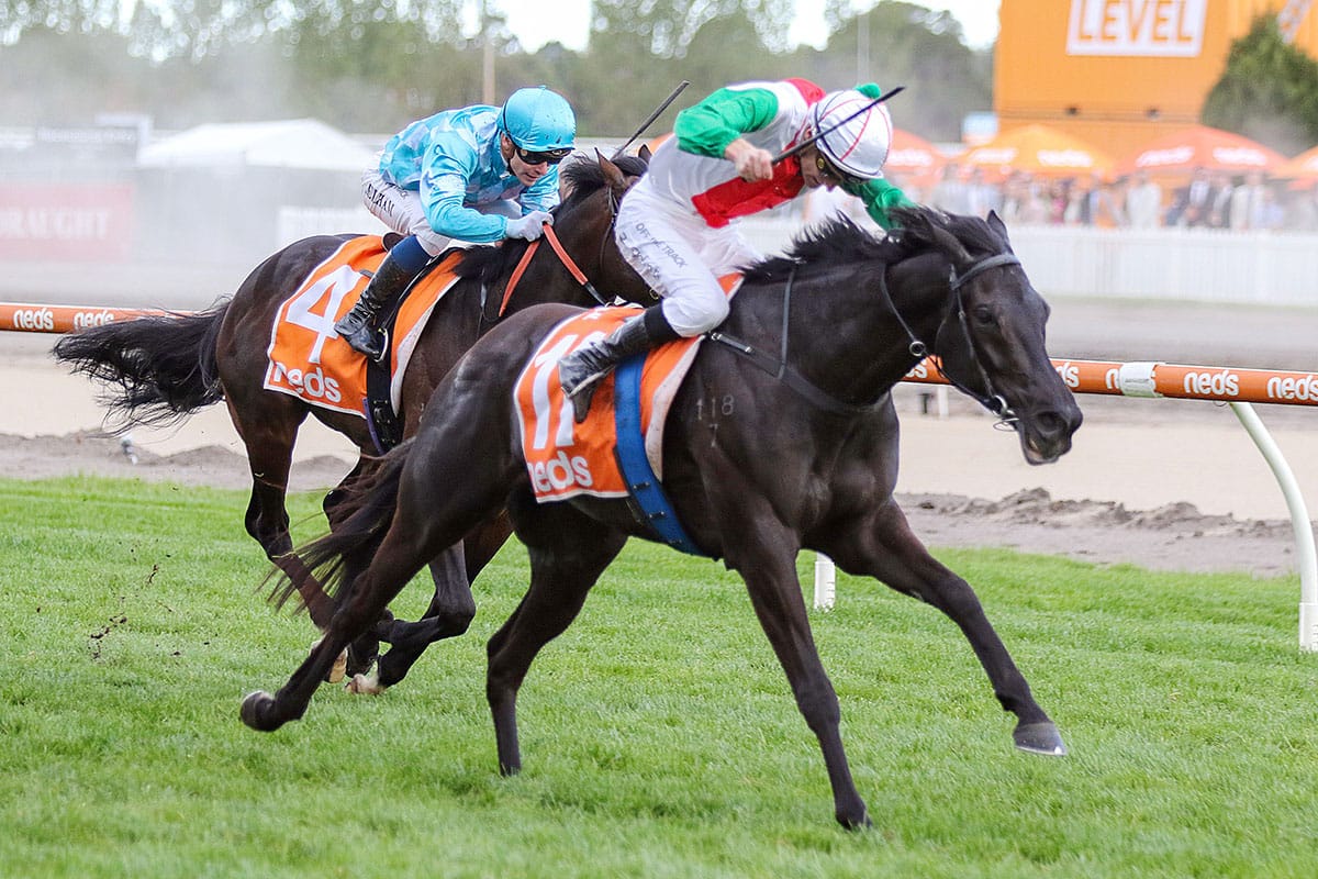 Forsman secures Dee for Aegon’s next Group One assignment