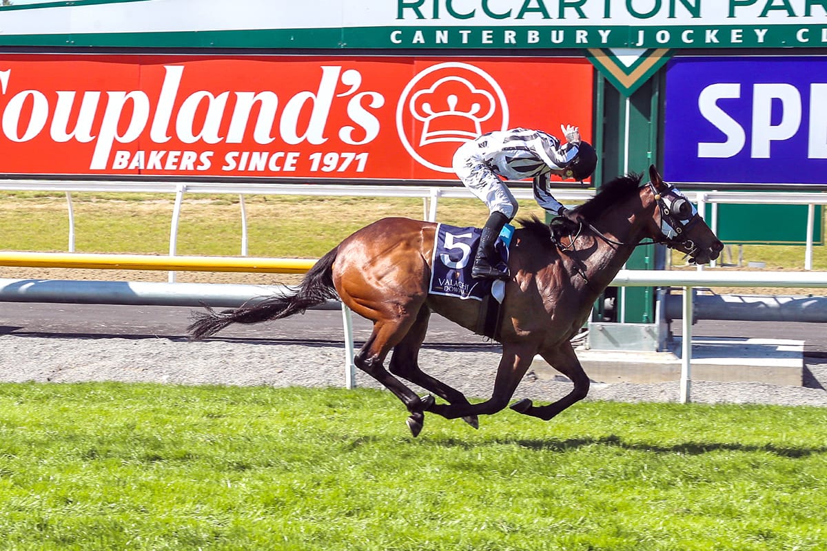 McNab’s pre-race call on the money