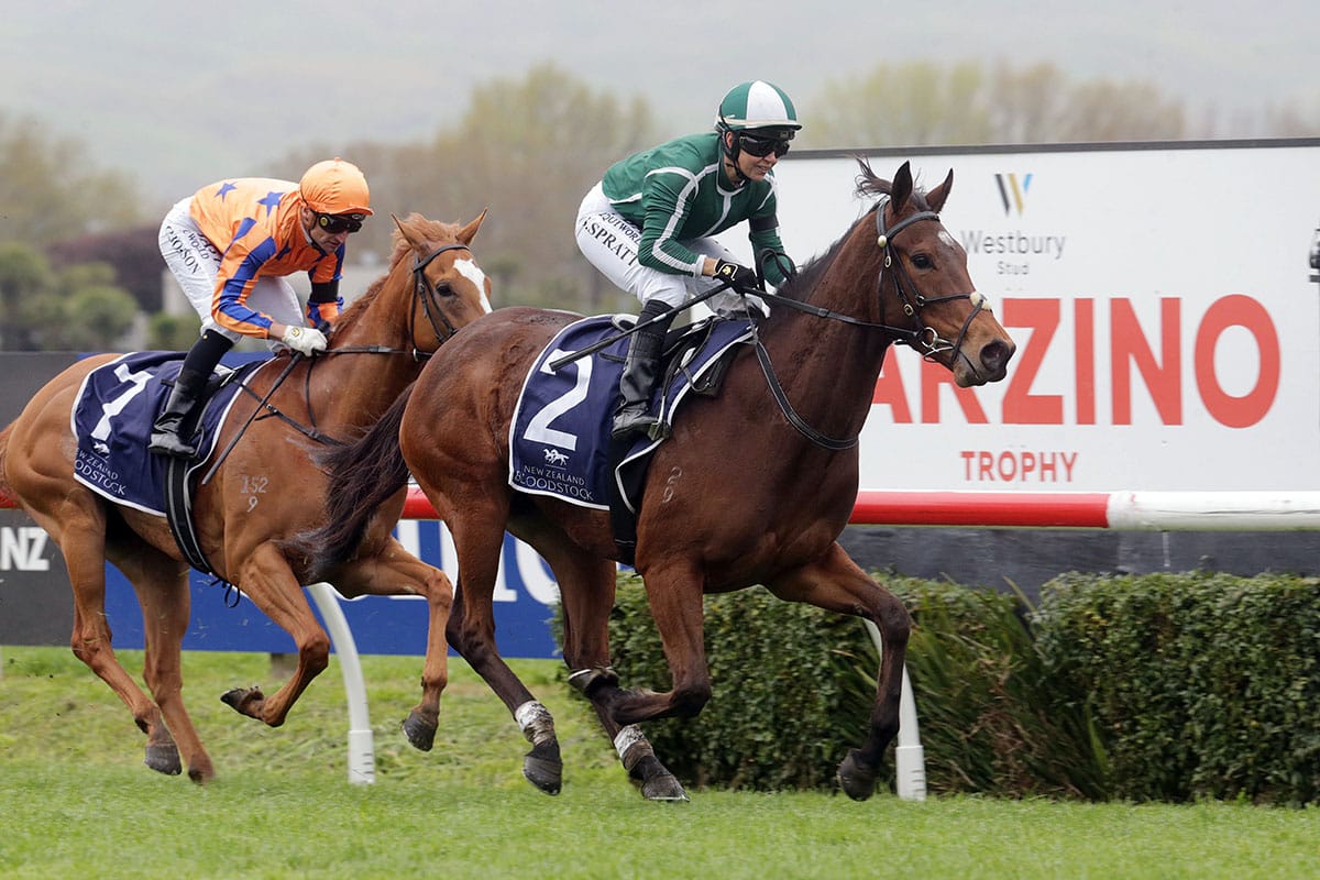 Bary all smiles with Guineas hope