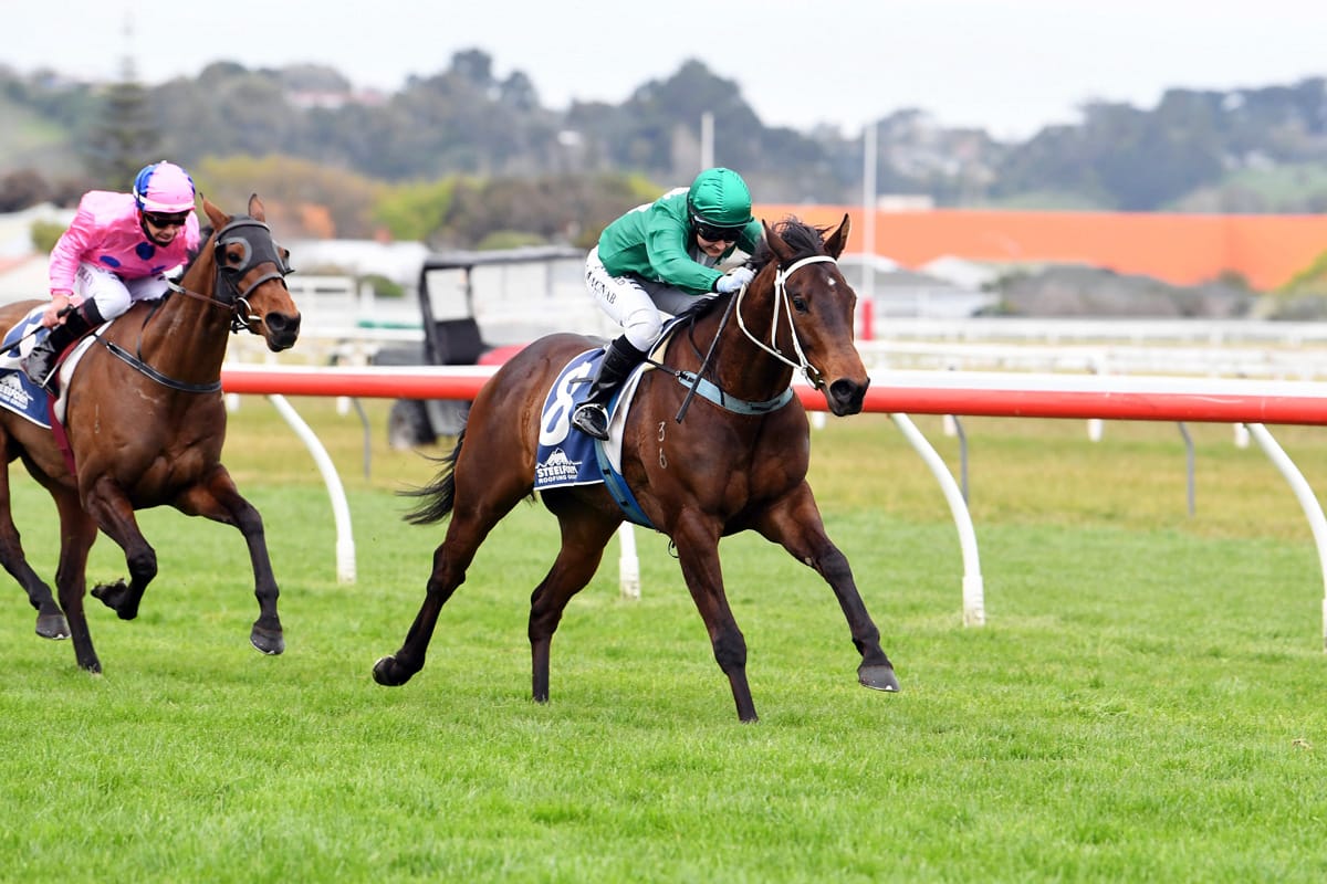 Te Rapa test looming for Conor O’Ceirin