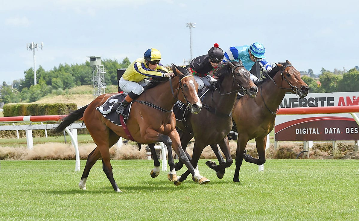 Impressive Waitak swoops on Eagle Memorial