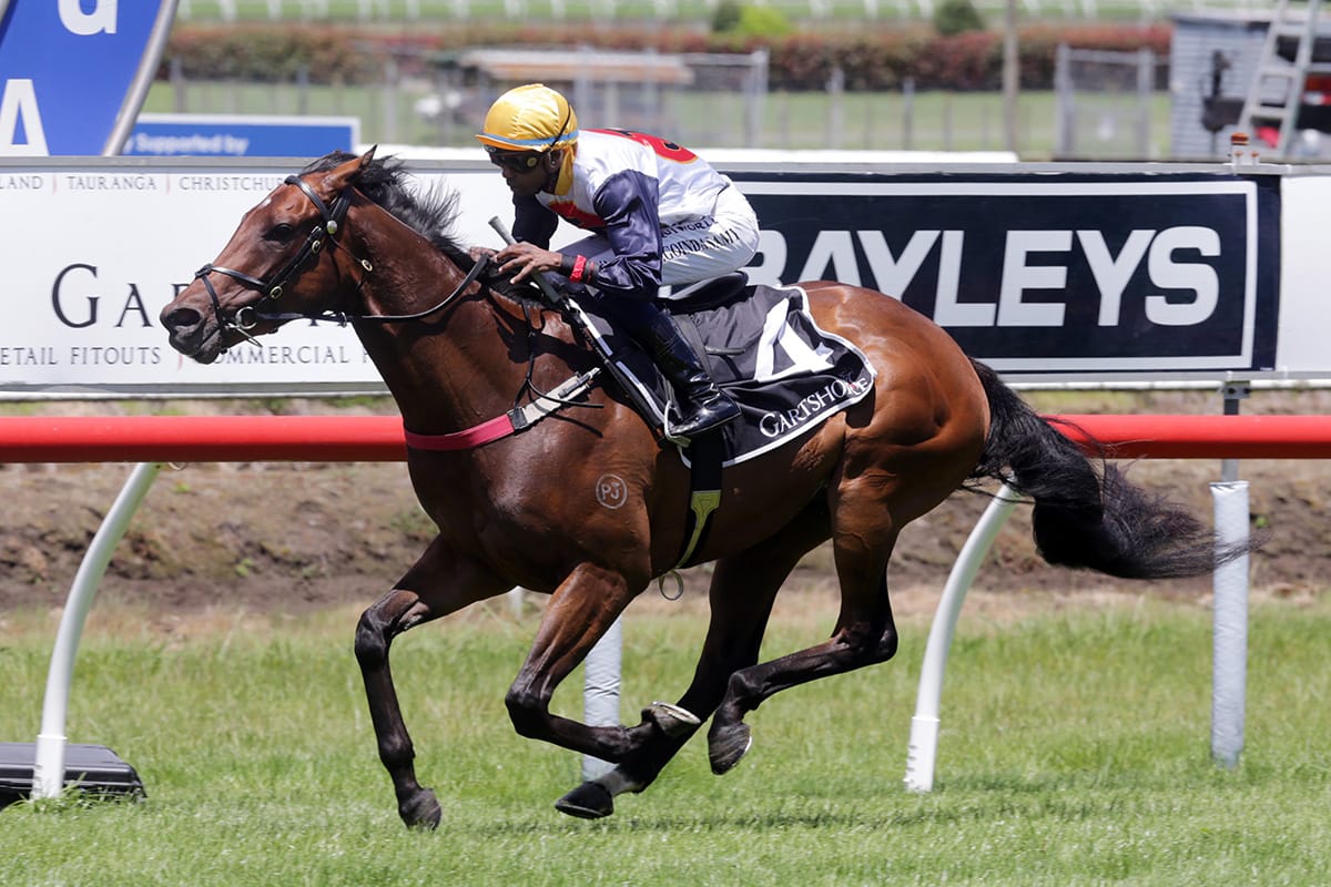 Forsman calls up younger troops