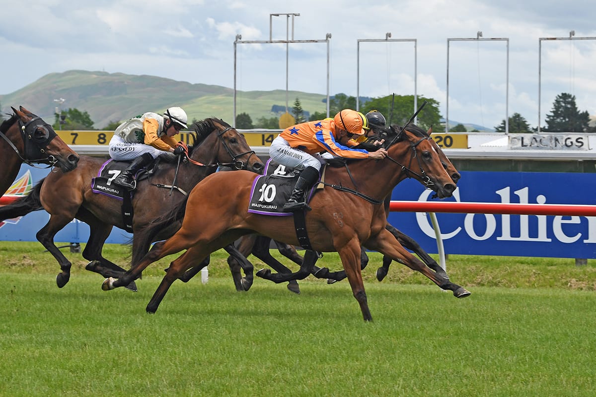 Family Ties provides timely RTR reminder