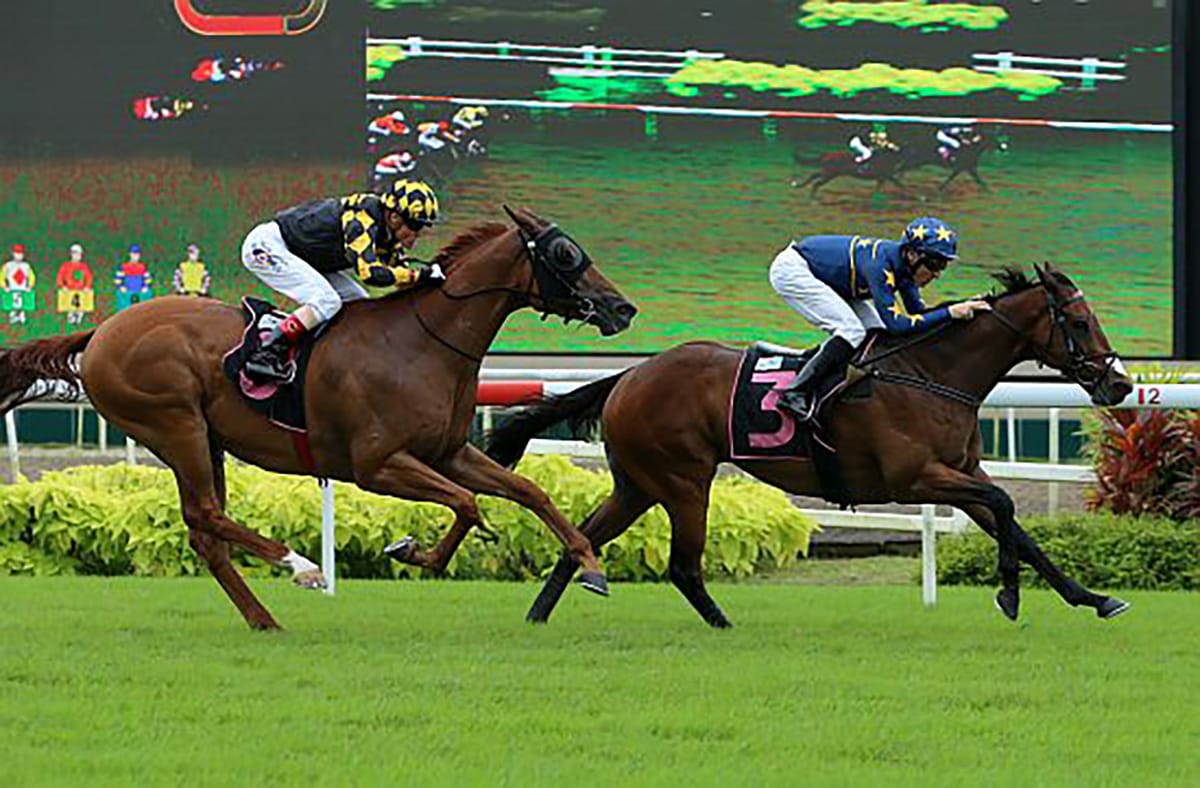 Hong Kong beckons for Lim’s Kosciuszko