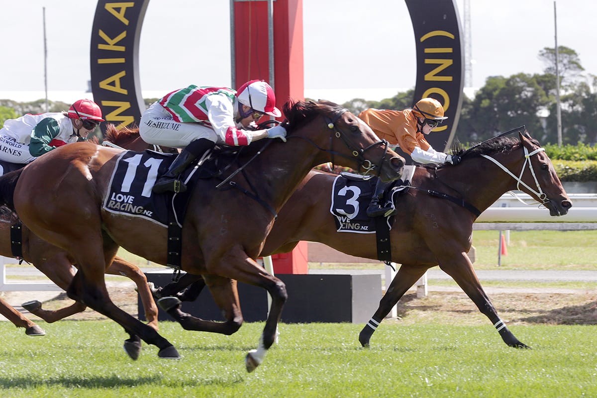 Last stride victory for Malt Time