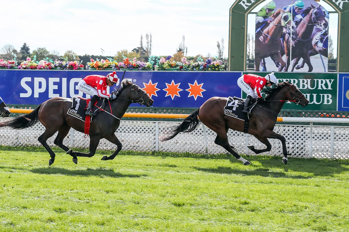 Pitman team primed for NZ Cup Carnival