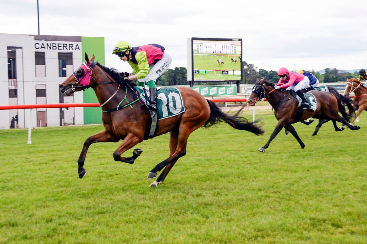 Preferment filly brings smile to Ryan’s face