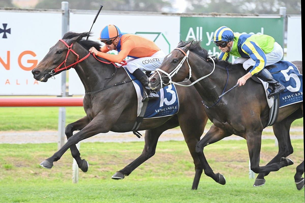 Redwood Shadow goes back to back