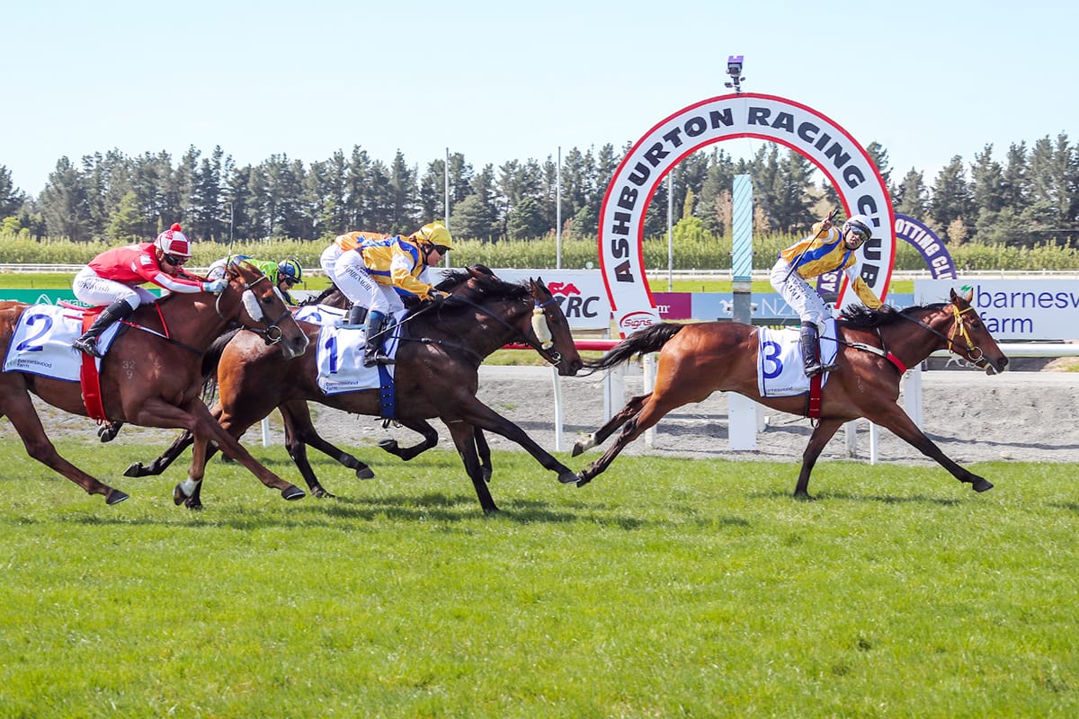 Bugger the mortgage says Guineas contender