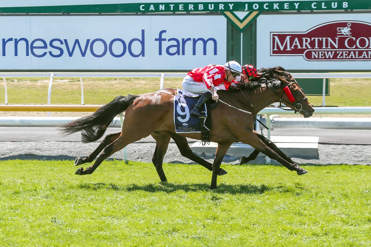 Lucky charm works some magic for Pitman team