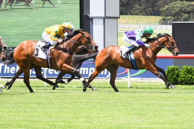 Tasman able to win at Sandown