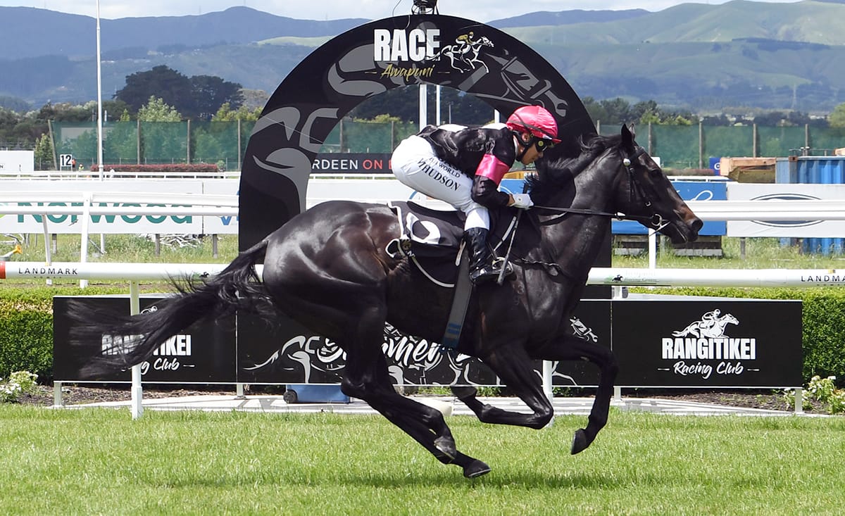 Patterson unearths rising star