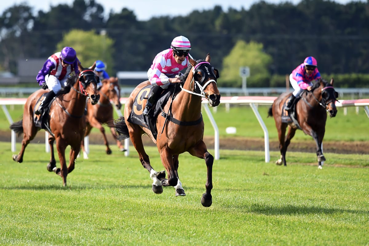 Viktor a sentimental favourite for Lock