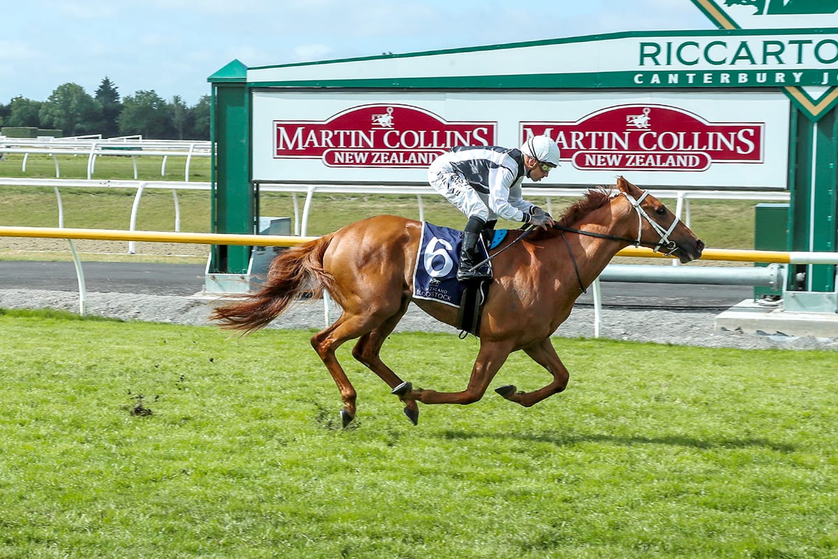 Kirkland heads to Wingatui in Buoyant mood