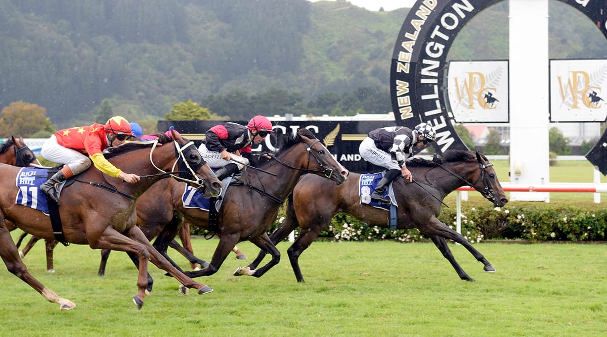 No doubting Darci at Trentham