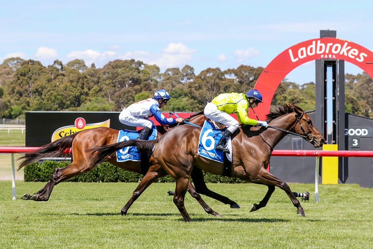 Detonator Jack delivers at Sandown