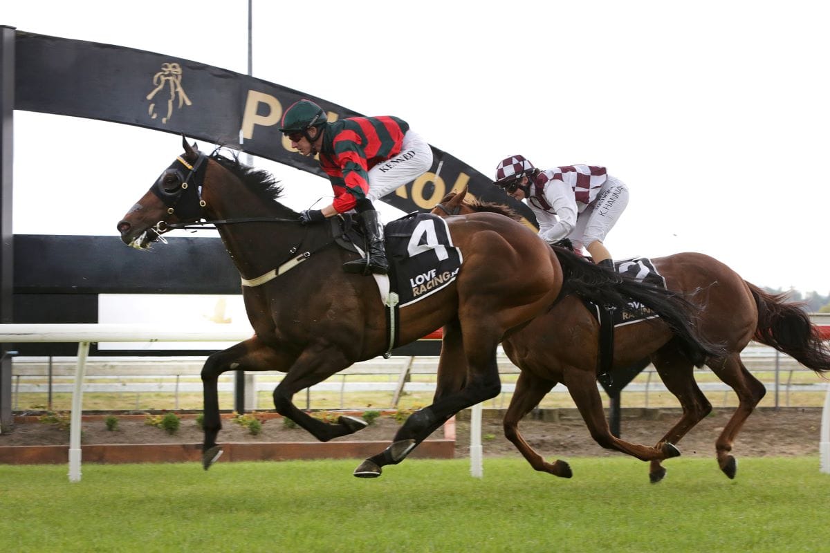 <strong>Satisfying victory for talented Dragon Leap</strong>