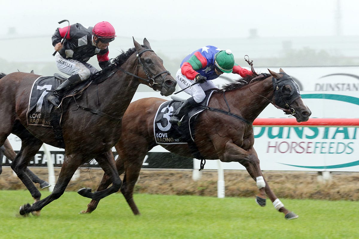 Flying mare rewards the faithful