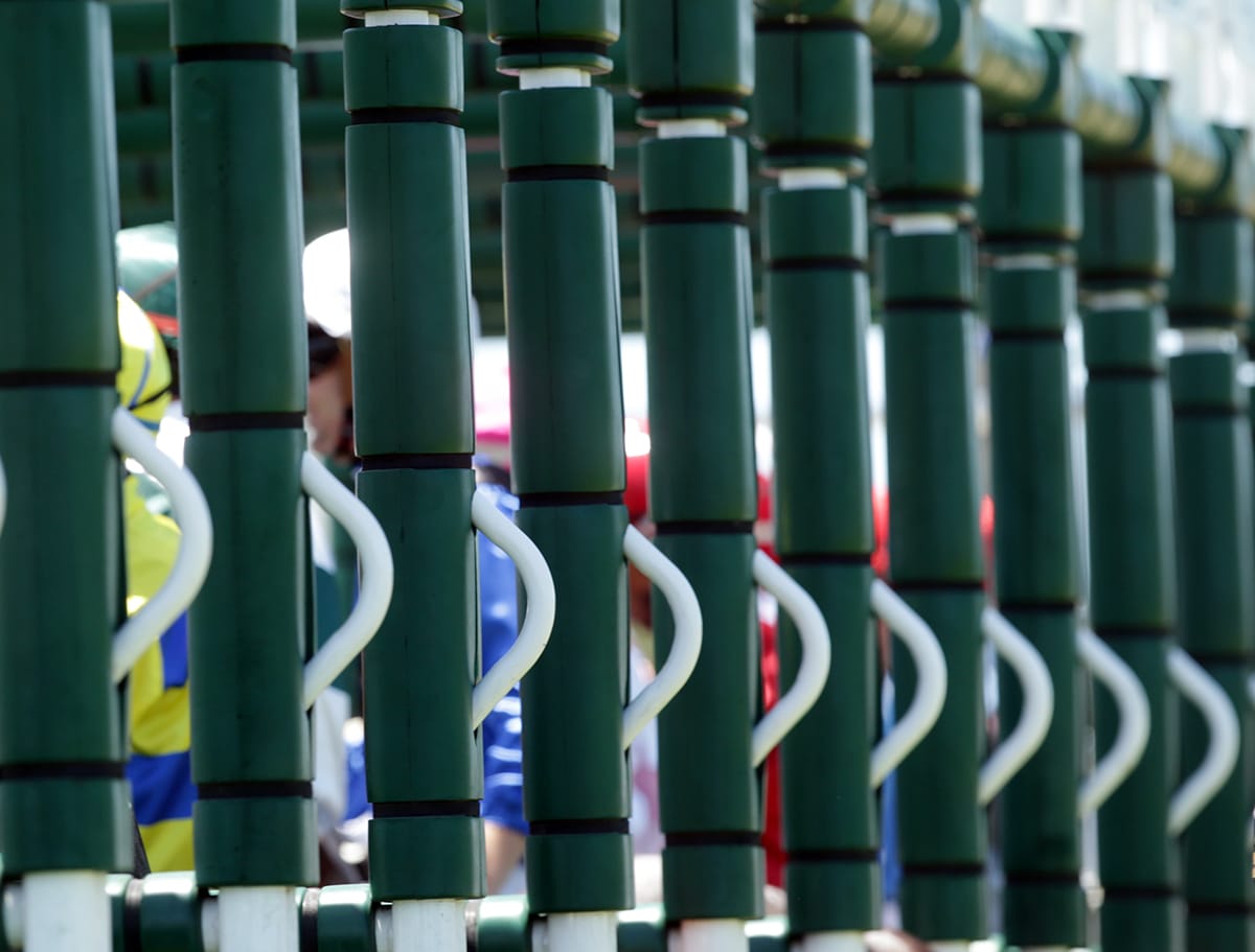 Racing abandoned at Awapuni