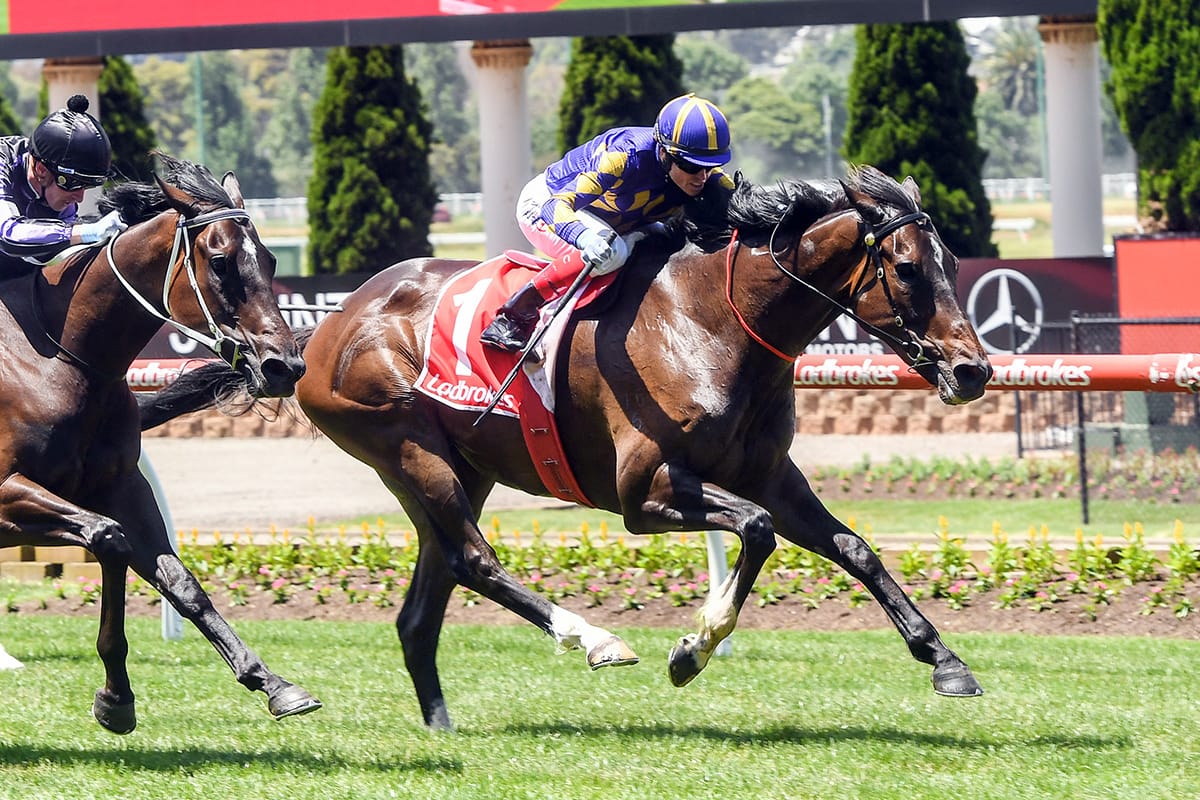 Jakk on the board at The Valley