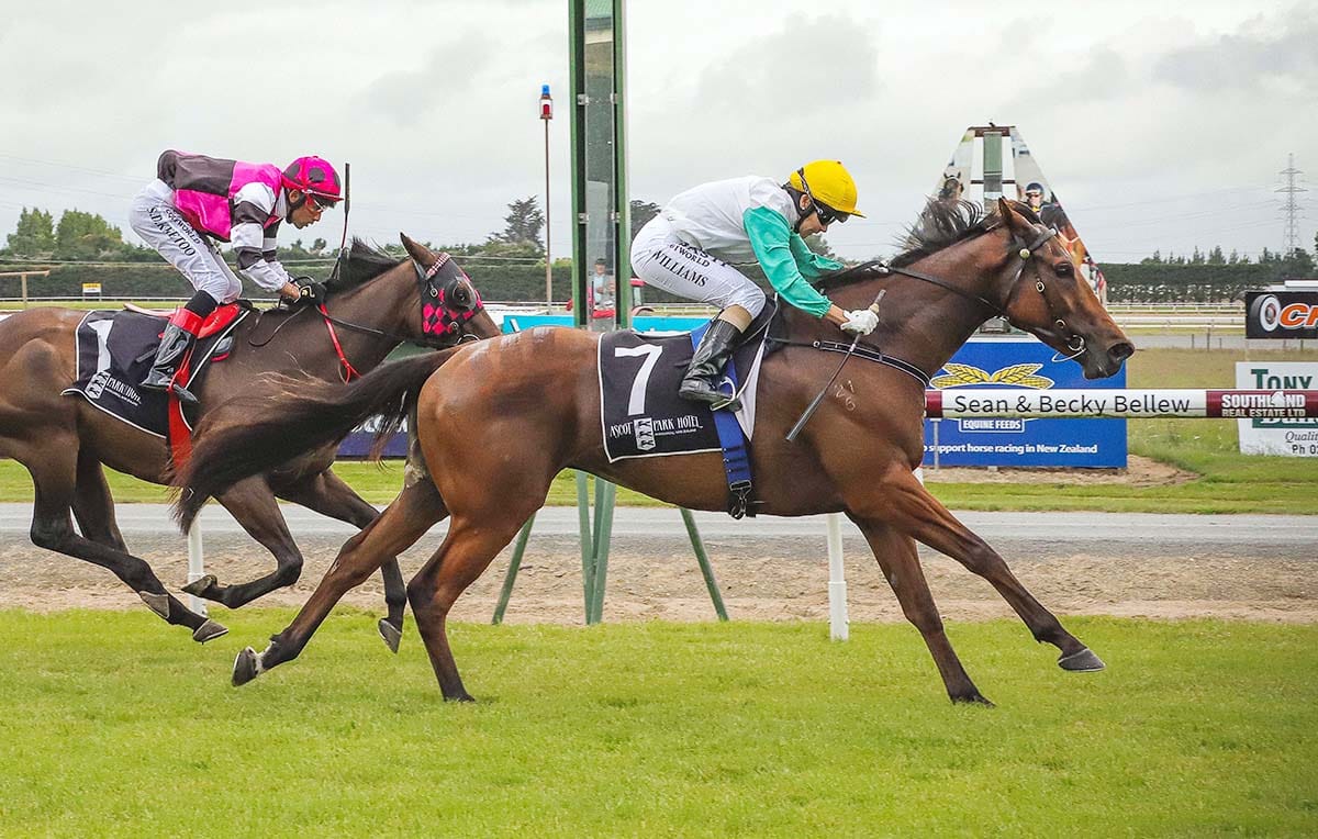 Thorndon Mile in Winsloe’s sights