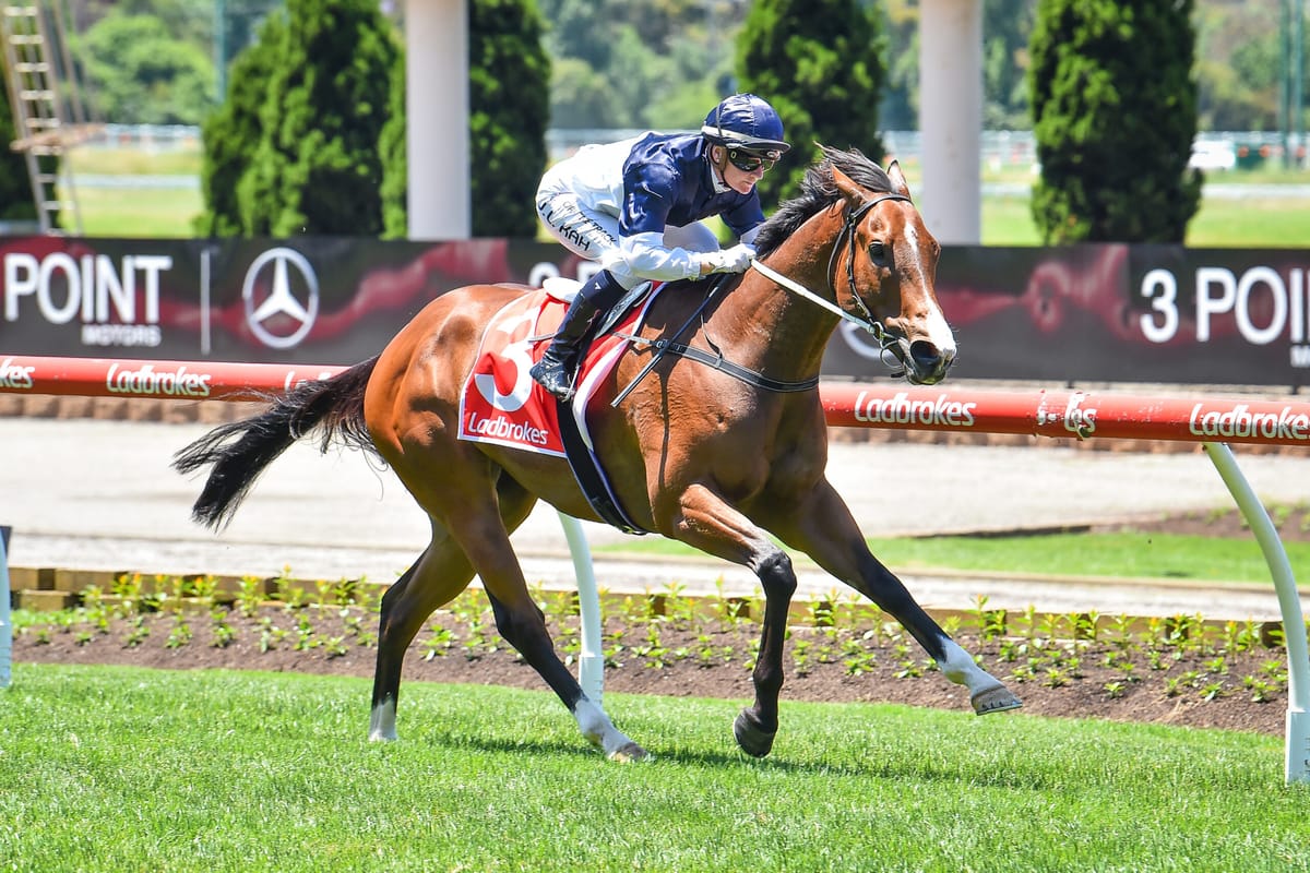 <strong>Inundation smashes Valley track record</strong>