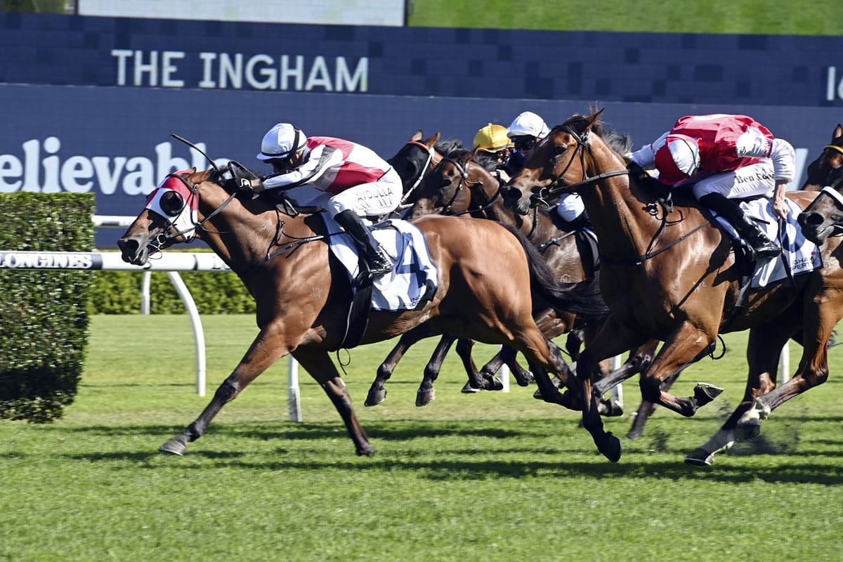 Kirwan’s Lane heads Kiwi trifecta in Ingham