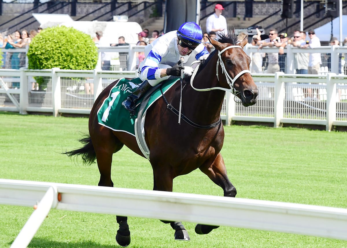 Kovalica demolishes Grand Prix rivals