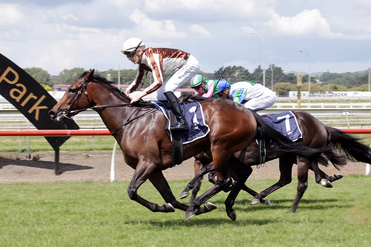 Legarto remains unbeaten after Eight Carat Classic victory