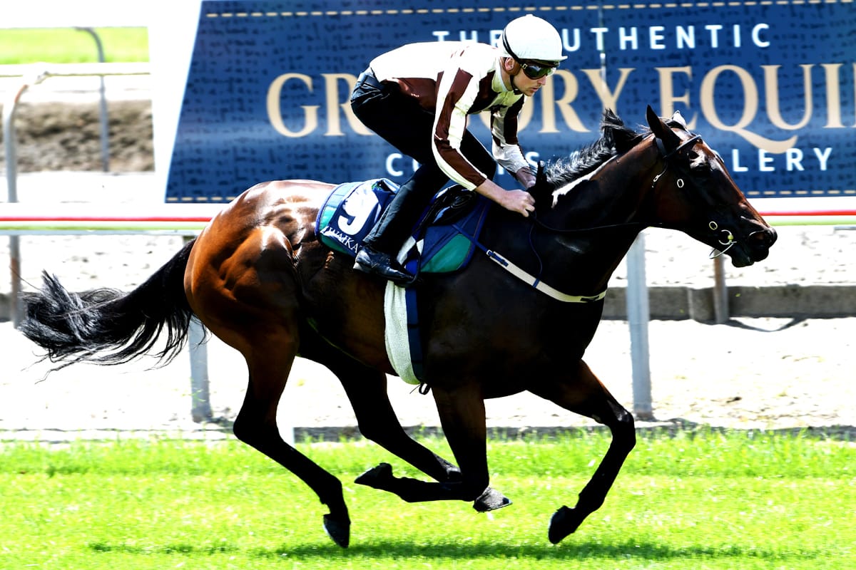 Kelso trio on song for Christmas carnival features