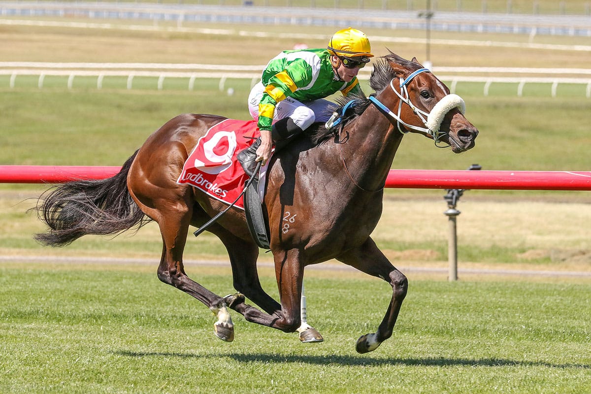 Life Lessons carries on winning way