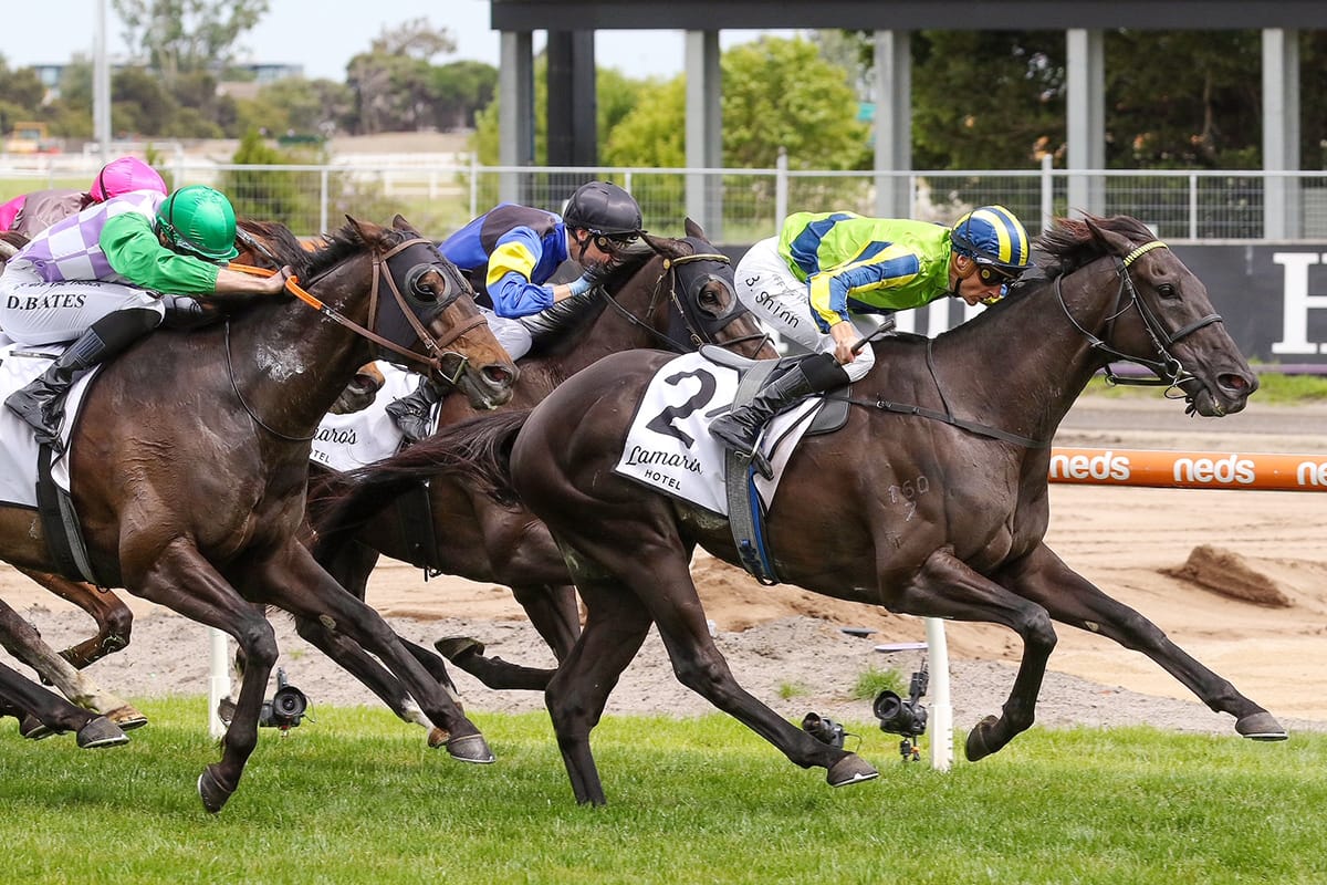 Moroney has a sound chance in Pakenham Cup