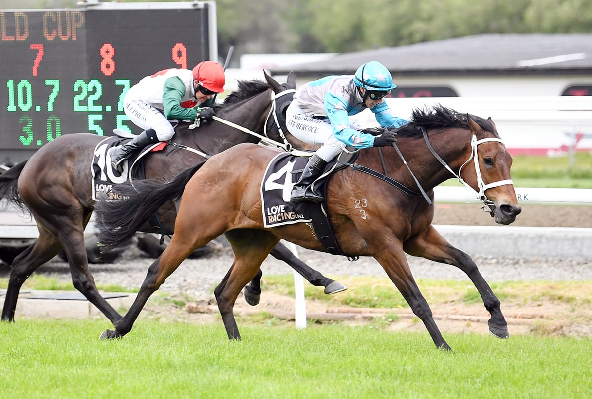 Lawrence has pep in her step ahead of Awapuni