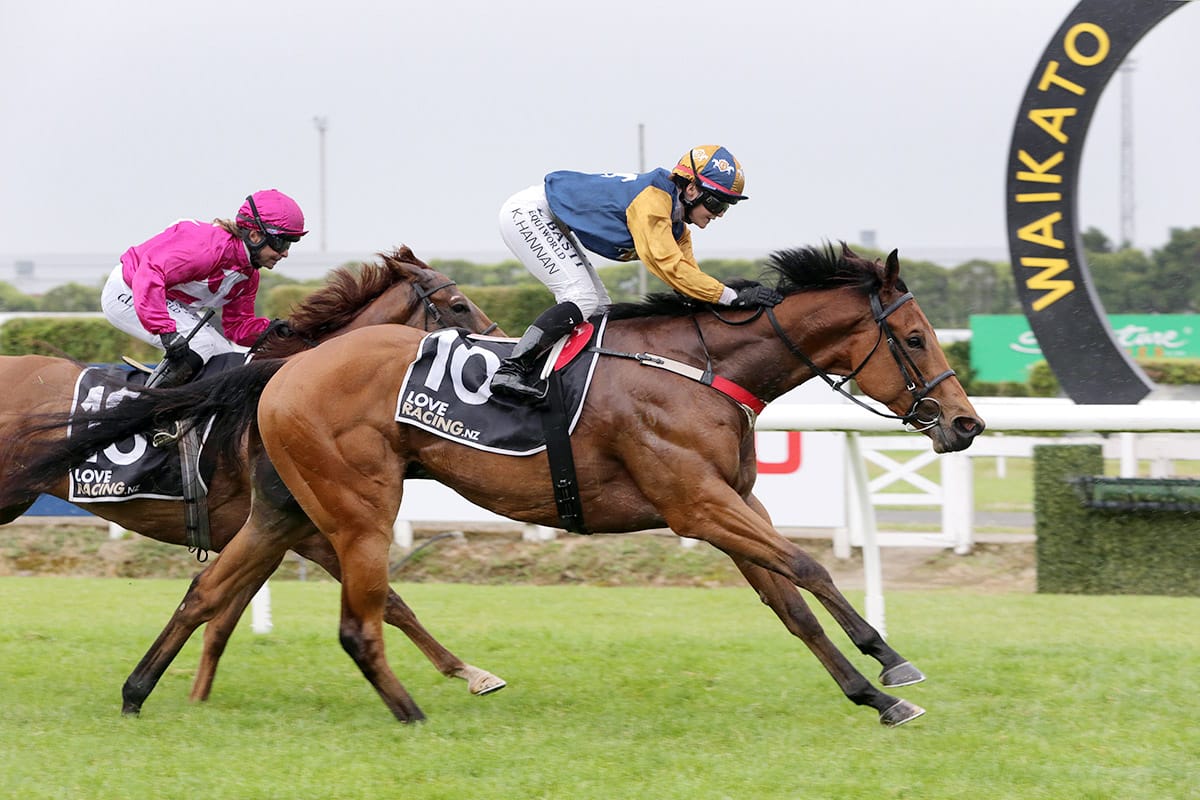 Wellington Guineas on the cards for The Racketeer