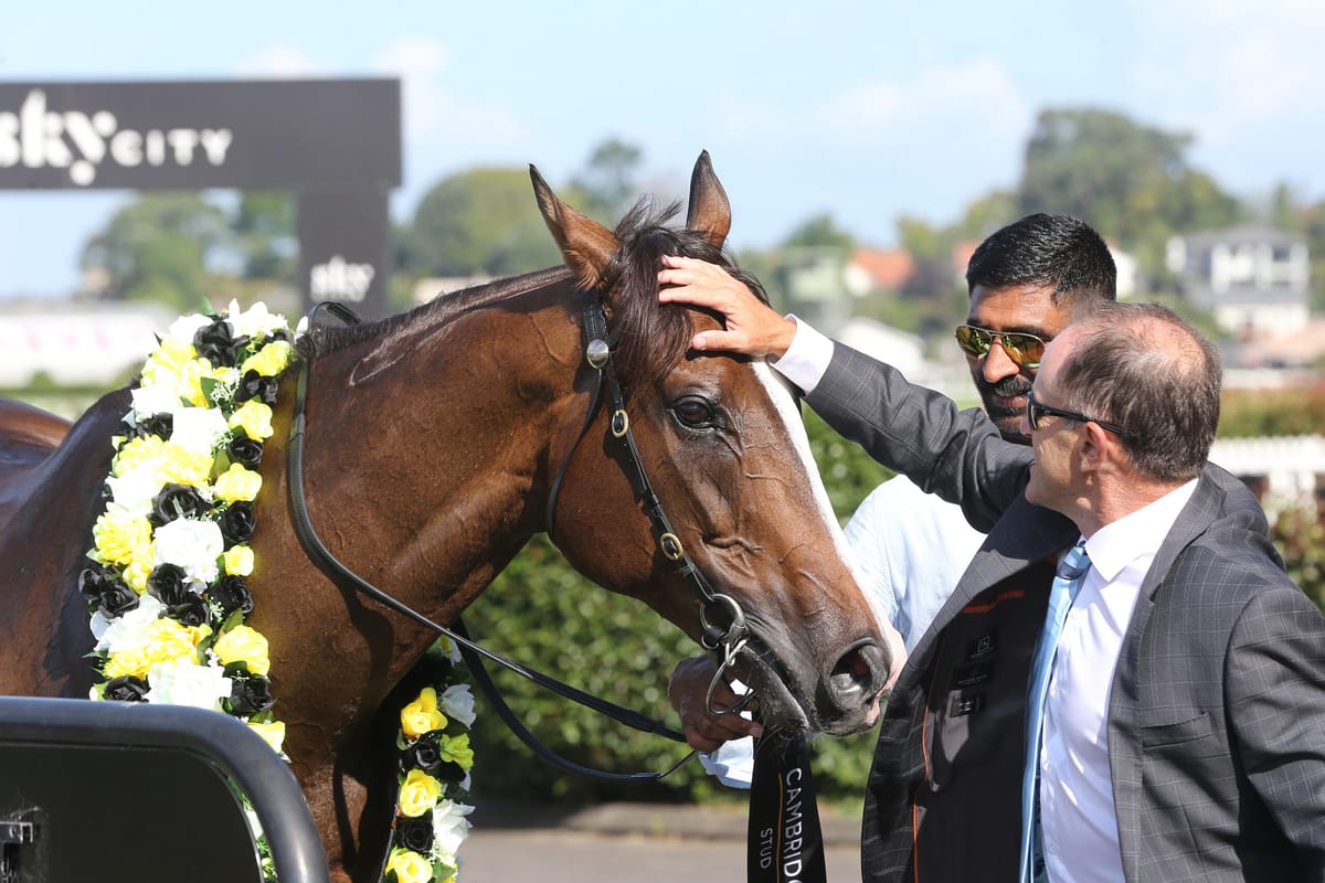 <strong>Tiptronic retired</strong>