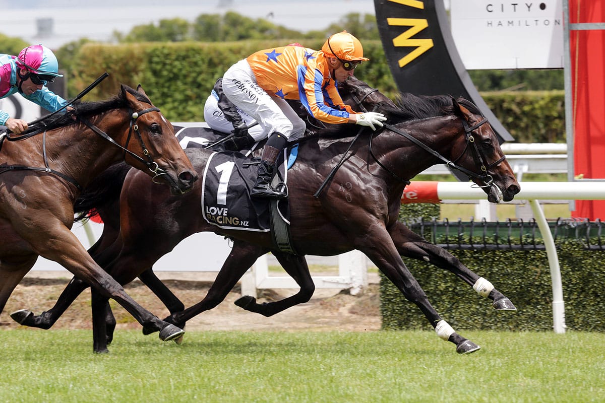 Walker trio out to eclipse juvenile rivals