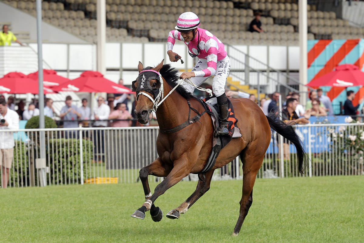 Veteran raises the roof with Cup victory