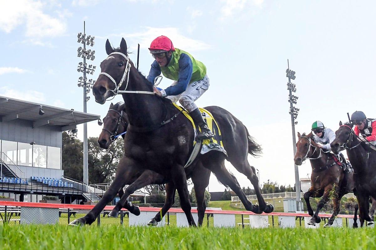 Enright hoping Christmas comes early with Wertheimer