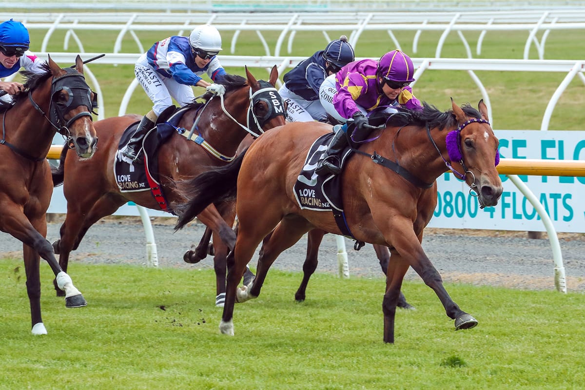 Robinson trio on song for Timaru Stakes