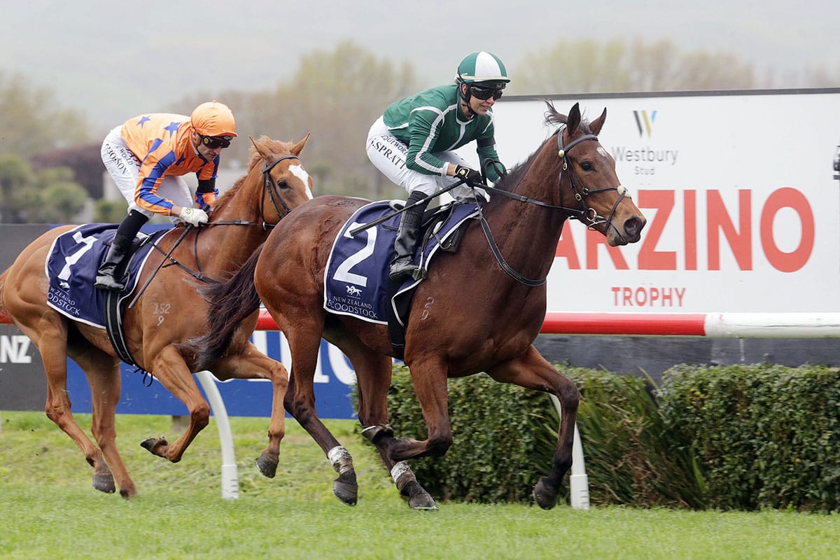 Challenge Syndications offers another Group One star on gavelhouse.com