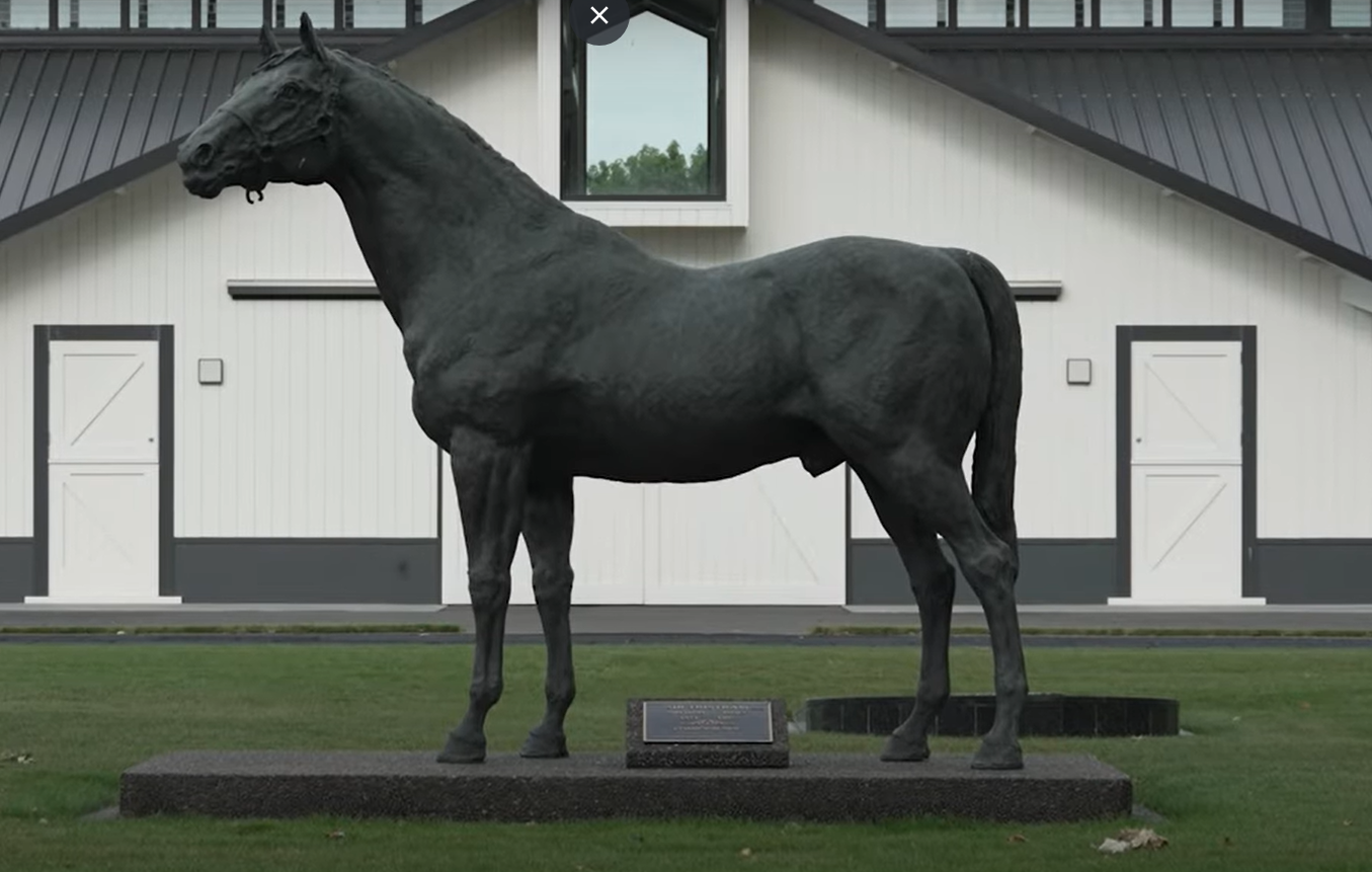 VIDEO: Cambridge Stud Karaka 2023 preview