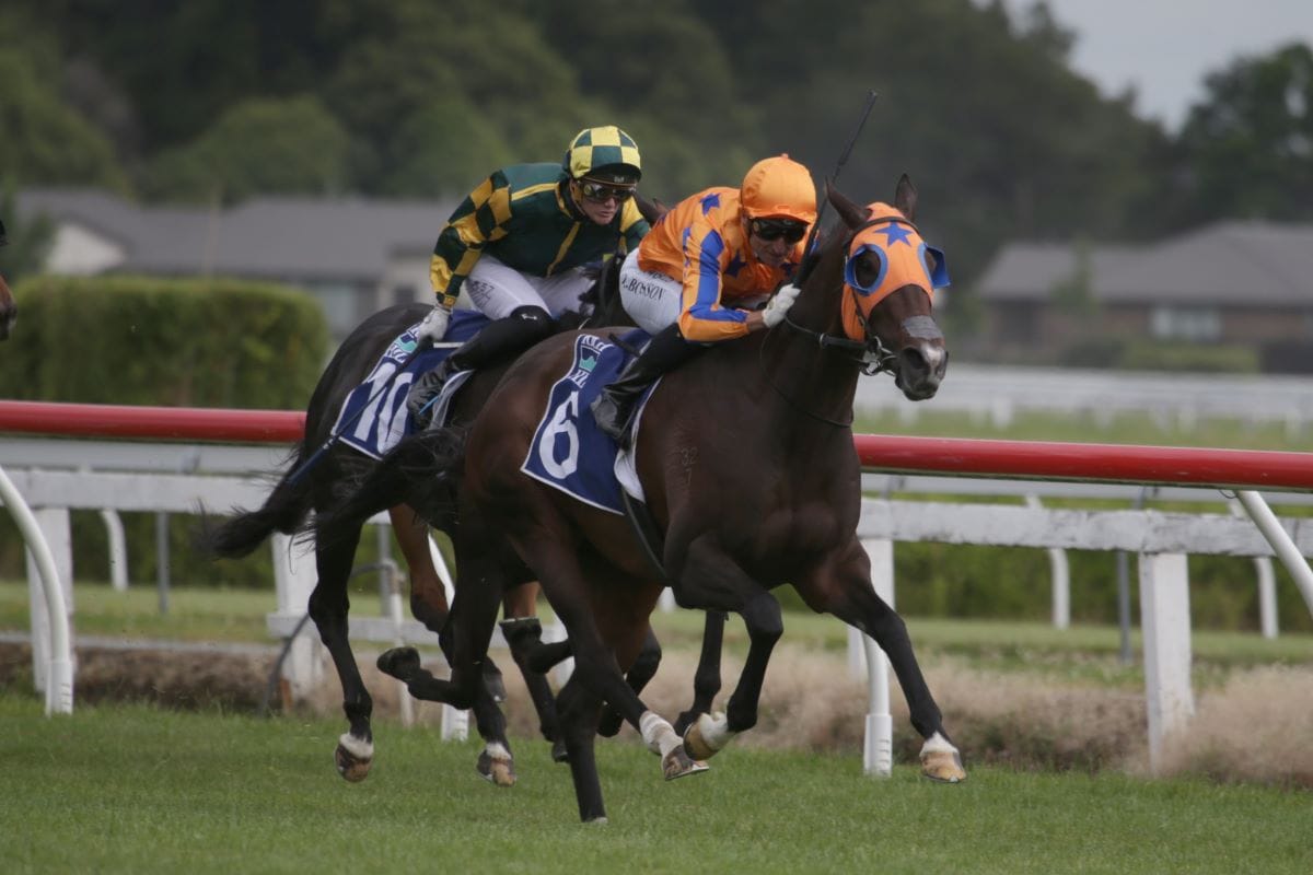 <strong>Rich Hill Mile quinella caps Te Akau gold rush</strong>