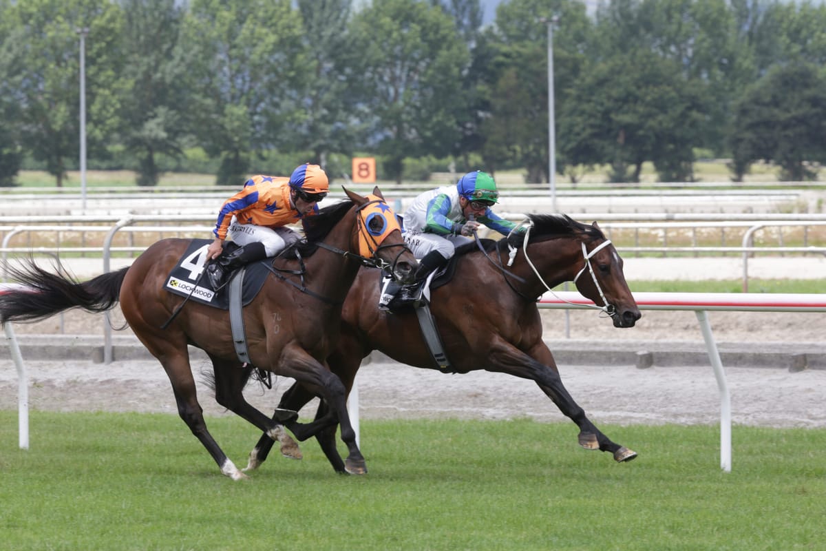 <strong>Codigo provides Ardrossan with first winner</strong>